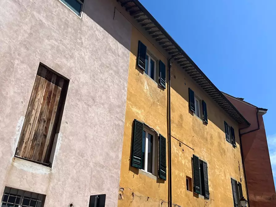 Immagine 21 di Terratetto in vendita  a Pisa
