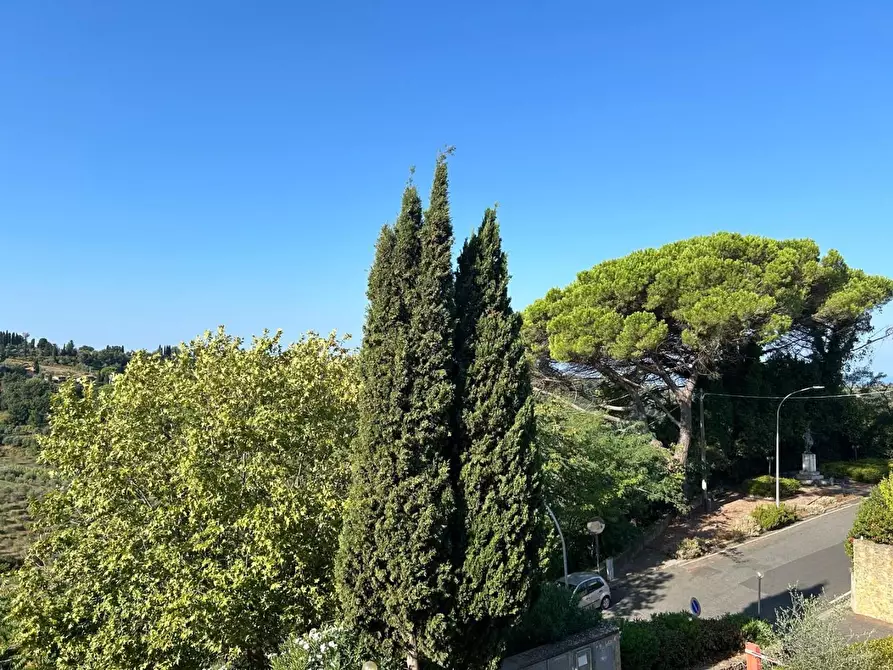 Immagine 13 di Appartamento in vendita  a Montescudaio