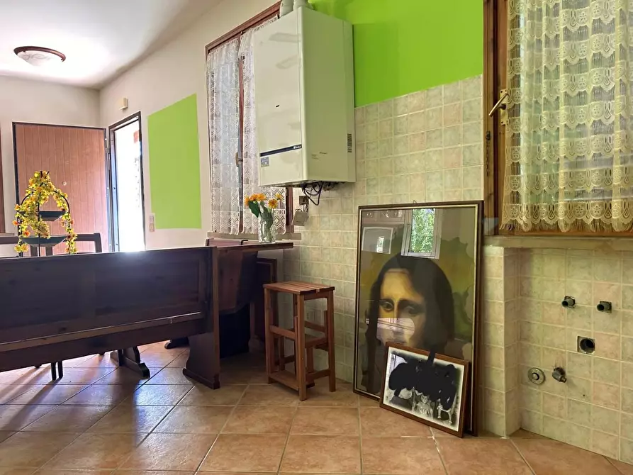 Immagine 2 di Appartamento in vendita  a Montescudaio