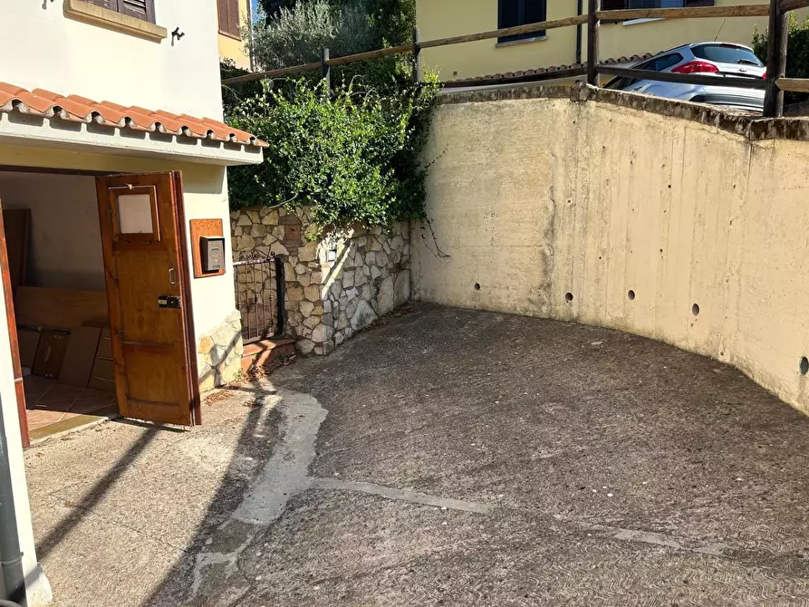 Immagine 21 di Appartamento in vendita  a Montescudaio