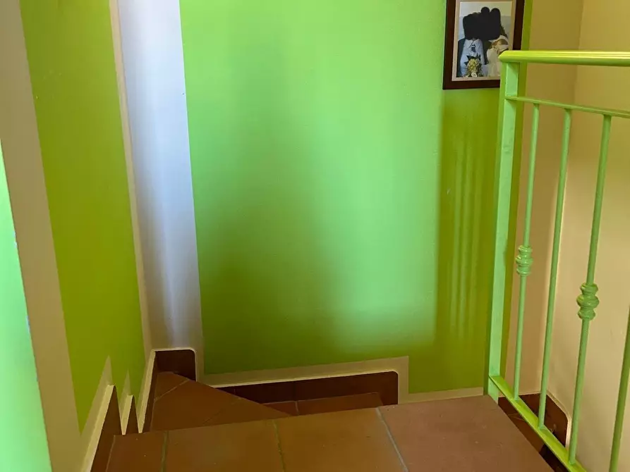 Immagine 11 di Appartamento in vendita  a Montescudaio