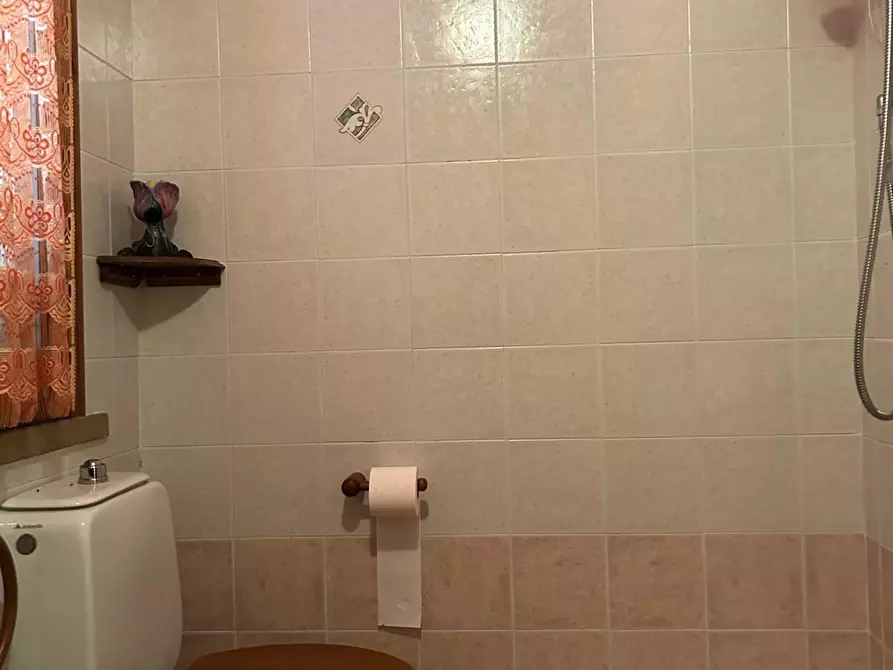 Immagine 16 di Appartamento in vendita  a Montescudaio