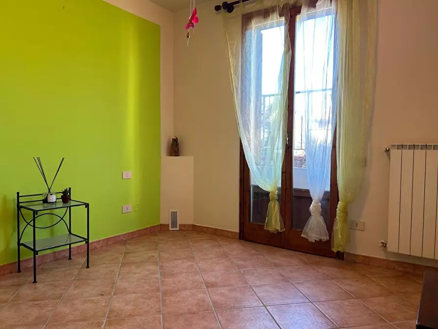 Immagine 12 di Appartamento in vendita  a Montescudaio