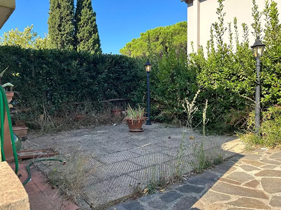 Immagine 20 di Appartamento in vendita  a Montescudaio