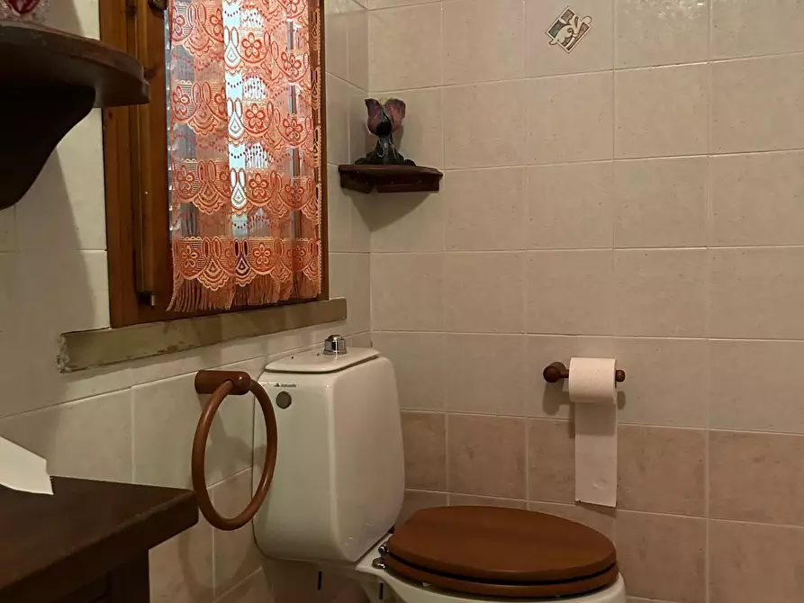 Immagine 15 di Appartamento in vendita  a Montescudaio