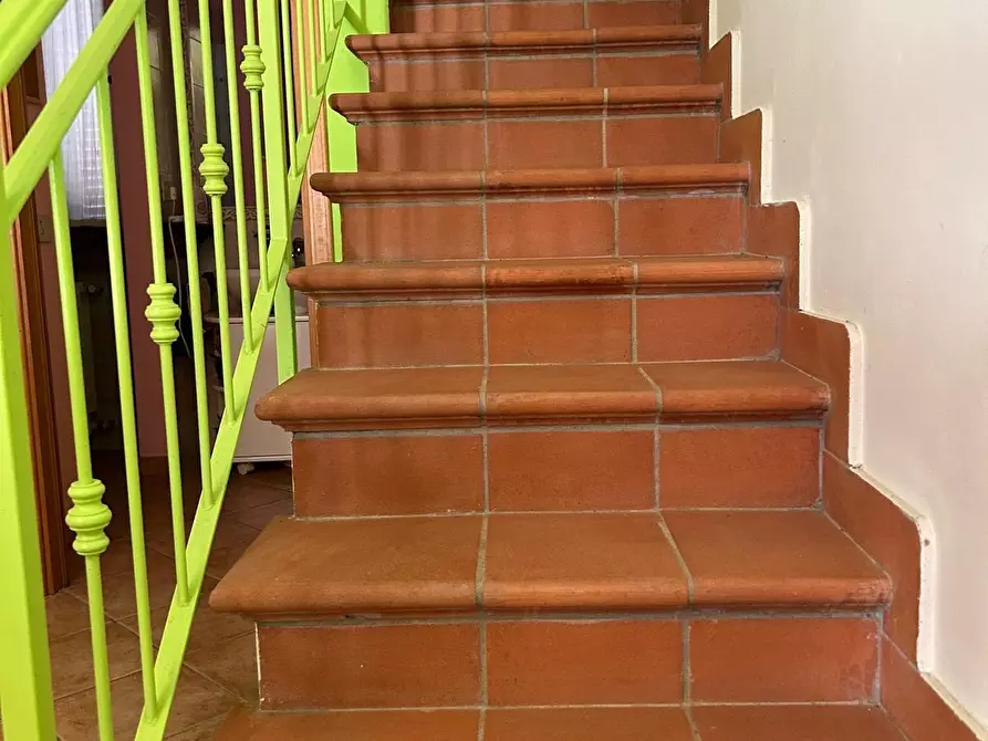 Immagine 9 di Appartamento in vendita  a Montescudaio