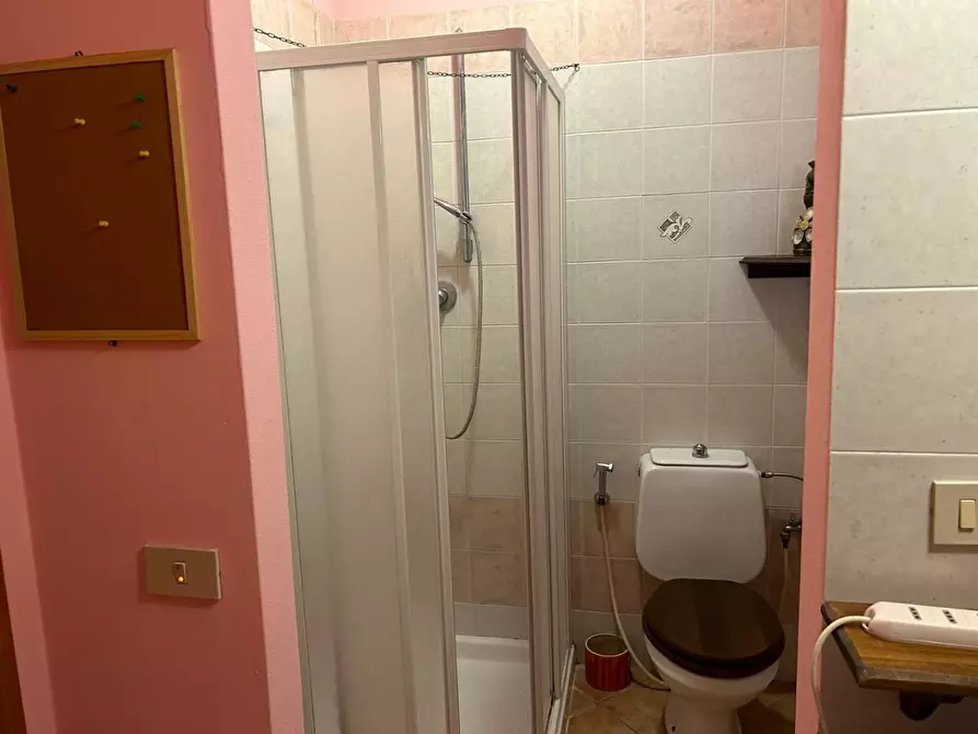 Immagine 7 di Appartamento in vendita  a Montescudaio