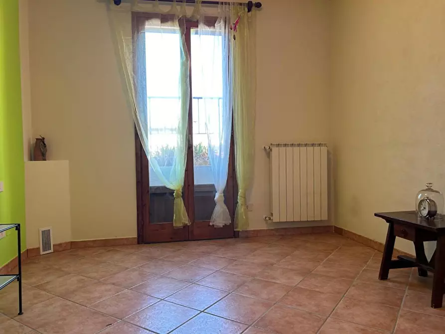 Immagine 14 di Appartamento in vendita  a Montescudaio
