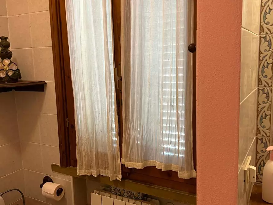 Immagine 8 di Appartamento in vendita  a Montescudaio