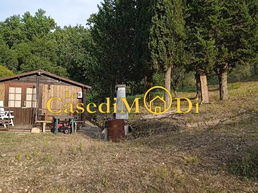 Immagine 1 di Terreno agricolo in vendita  a Collesalvetti