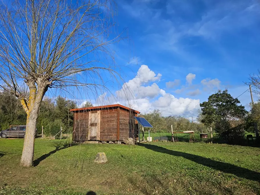 Immagine 6 di Terreno agricolo in vendita  a Piombino