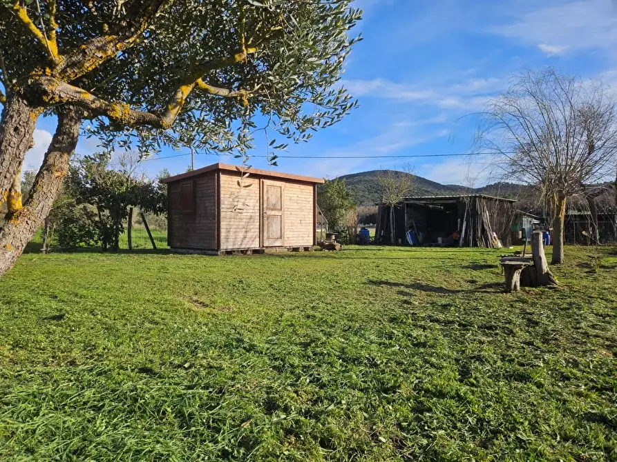 Immagine 5 di Terreno agricolo in vendita  a Piombino