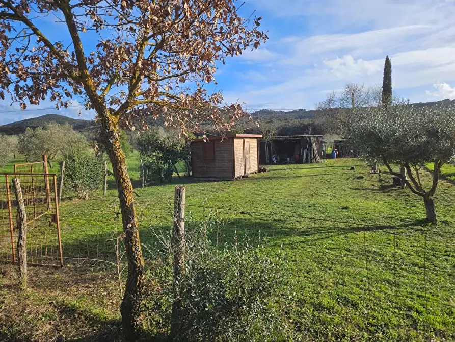 Immagine 8 di Terreno agricolo in vendita  a Piombino