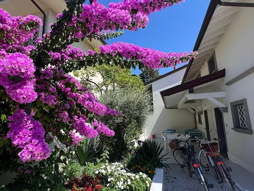 Immagine 31 di Villa in affitto  a Forte Dei Marmi