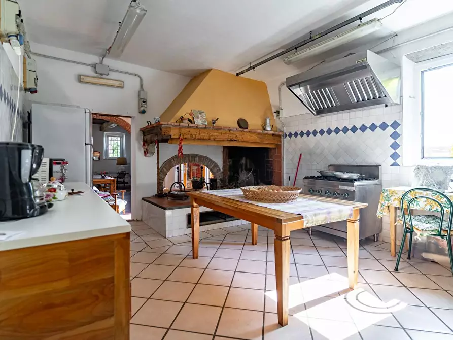 Immagine 24 di Casa colonica in vendita  a Vinci