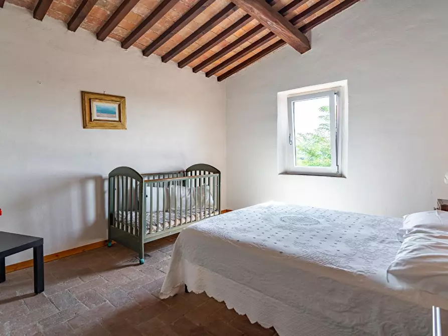 Immagine 49 di Casa colonica in vendita  a Vinci