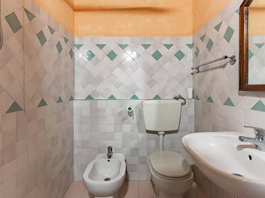 Immagine 51 di Casa colonica in vendita  a Vinci