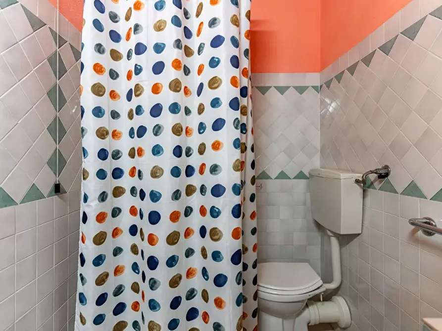 Immagine 44 di Casa colonica in vendita  a Vinci