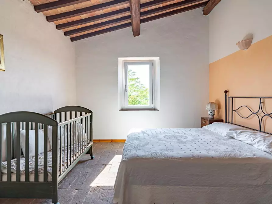 Immagine 48 di Casa colonica in vendita  a Vinci