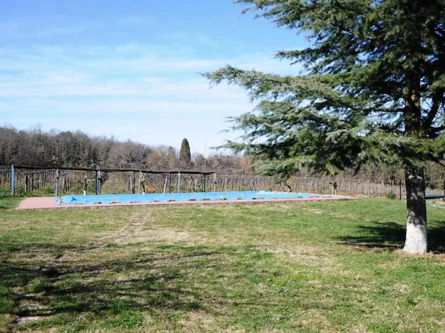 Immagine 37 di Casa colonica in vendita  a Monteriggioni