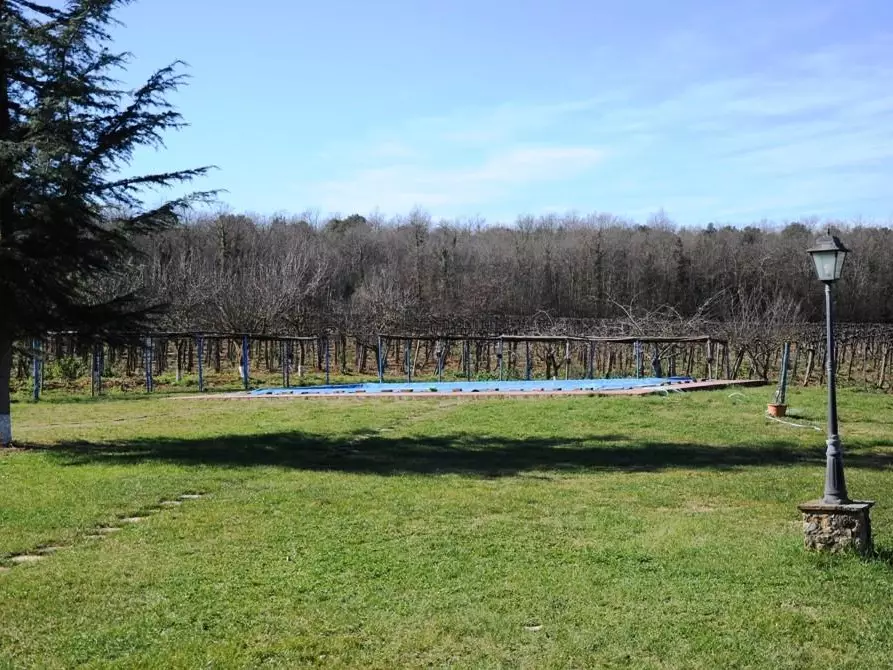 Immagine 49 di Casa colonica in vendita  a Monteriggioni