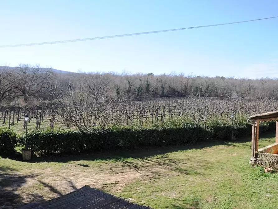 Immagine 23 di Casa colonica in vendita  a Monteriggioni