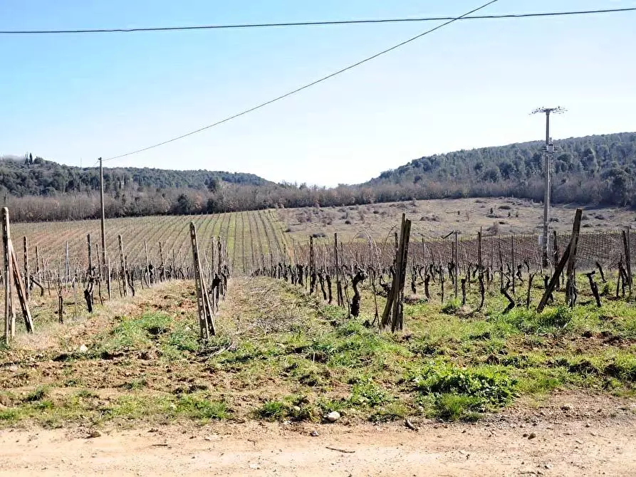 Immagine 55 di Casa colonica in vendita  a Monteriggioni