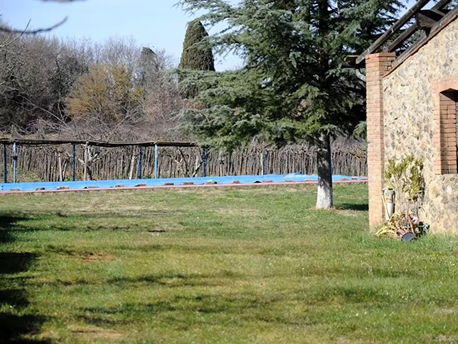 Immagine 35 di Casa colonica in vendita  a Monteriggioni