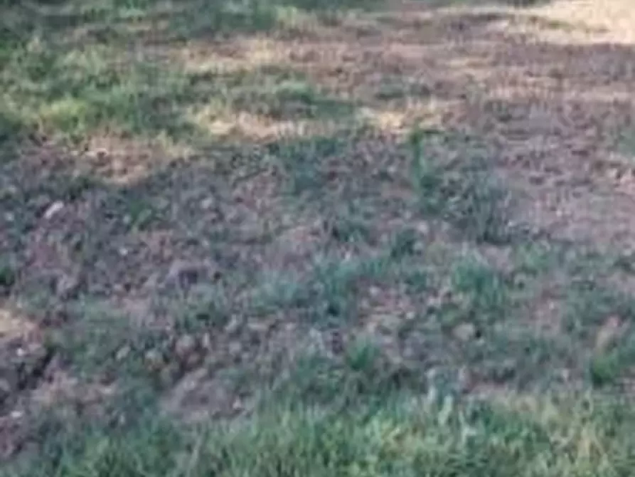 Immagine 2 di Terreno agricolo in vendita  a Cascina