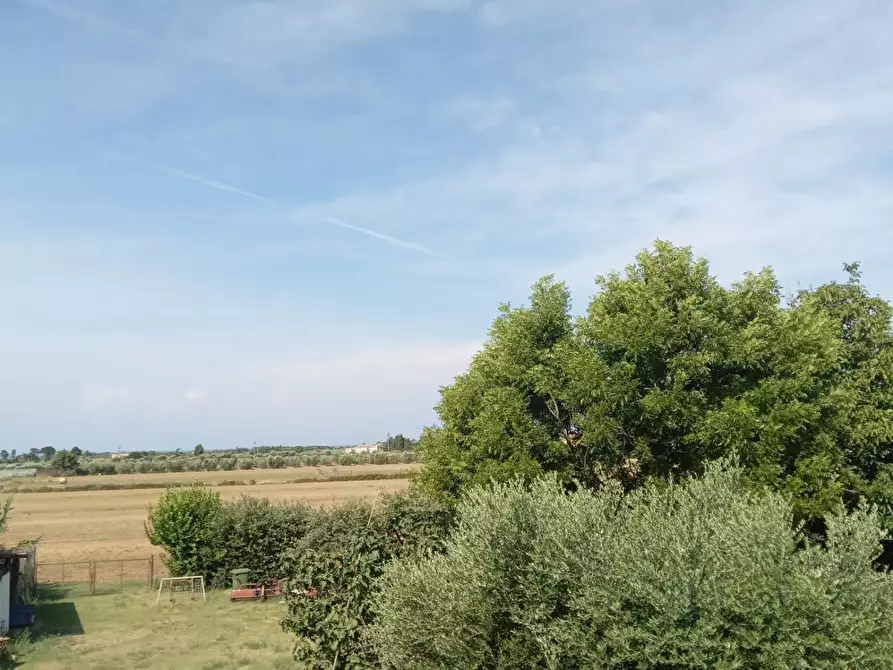 Immagine 24 di Appartamento in vendita  a Rosignano Marittimo