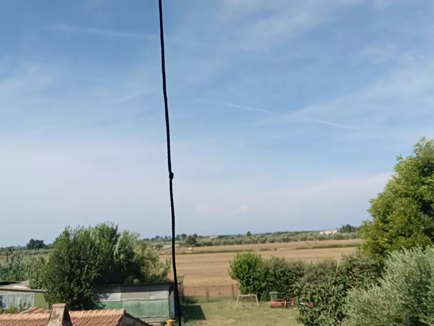 Immagine 23 di Appartamento in vendita  a Rosignano Marittimo