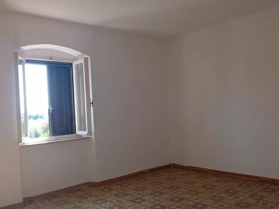 Immagine 4 di Appartamento in vendita  a Rosignano Marittimo