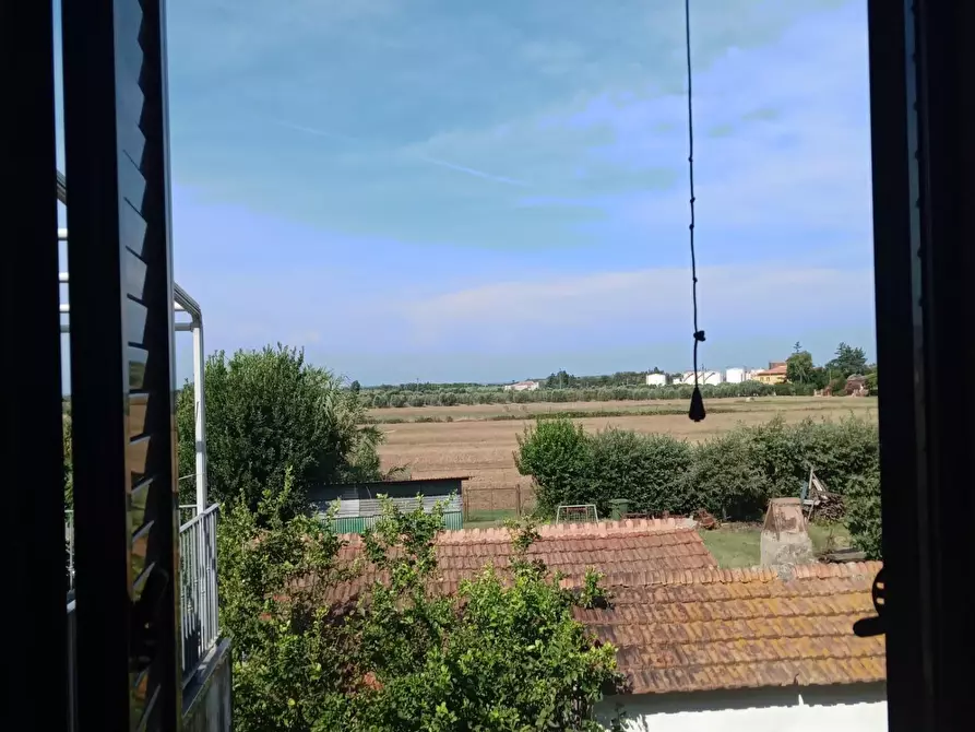 Immagine 21 di Appartamento in vendita  a Rosignano Marittimo