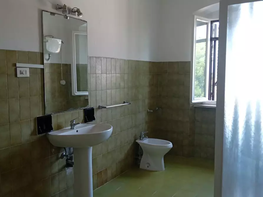 Immagine 18 di Appartamento in vendita  a Rosignano Marittimo