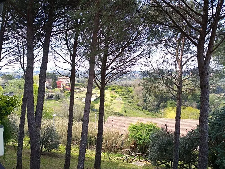 Immagine 9 di Villa in vendita  a Casciana Terme Lari