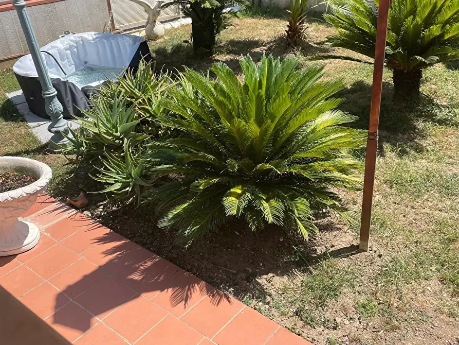 Immagine 7 di Villetta a schiera in vendita  a Carrara