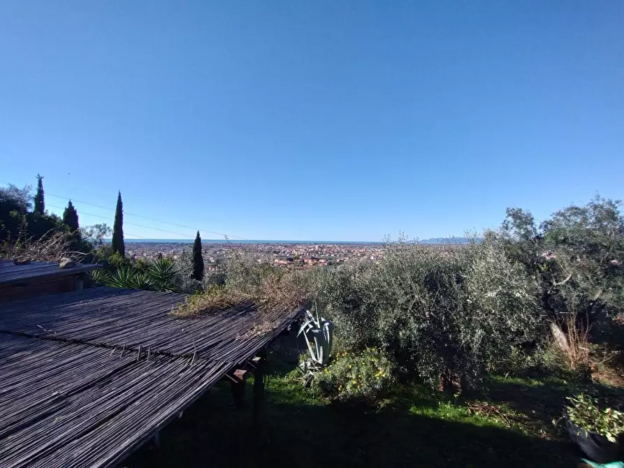 Immagine 1 di Terreno agricolo in vendita  a Pietrasanta