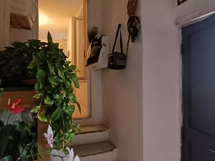 Immagine 20 di Casa indipendente in vendita  a Carrara