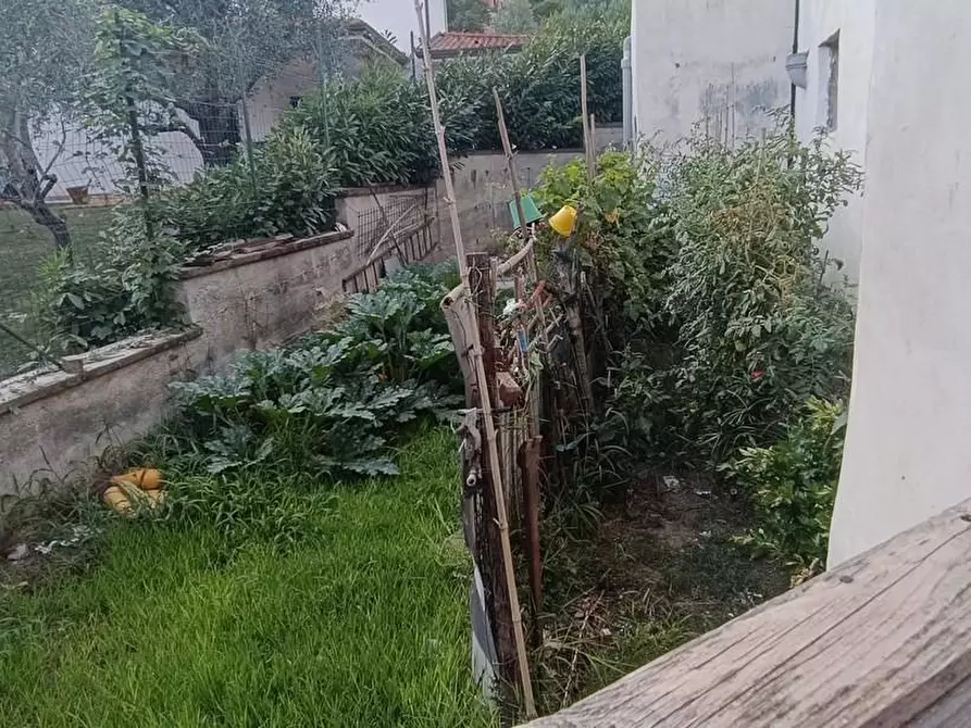 Immagine 5 di Casa indipendente in vendita  a Carrara