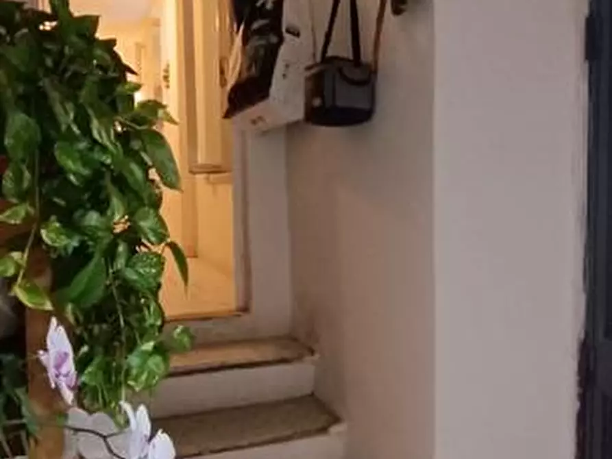 Immagine 23 di Casa indipendente in vendita  a Carrara