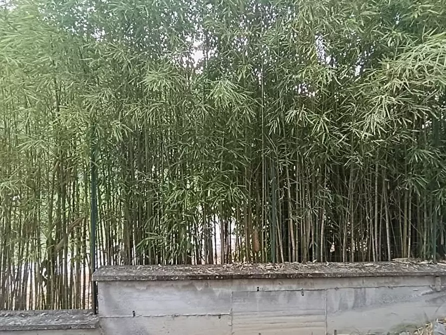 Immagine 36 di Casa indipendente in vendita  a Carrara