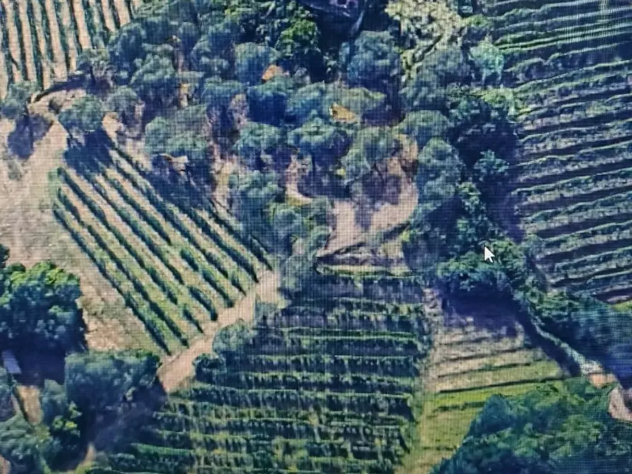 Immagine 2 di Rustico / casale in vendita  a Massa