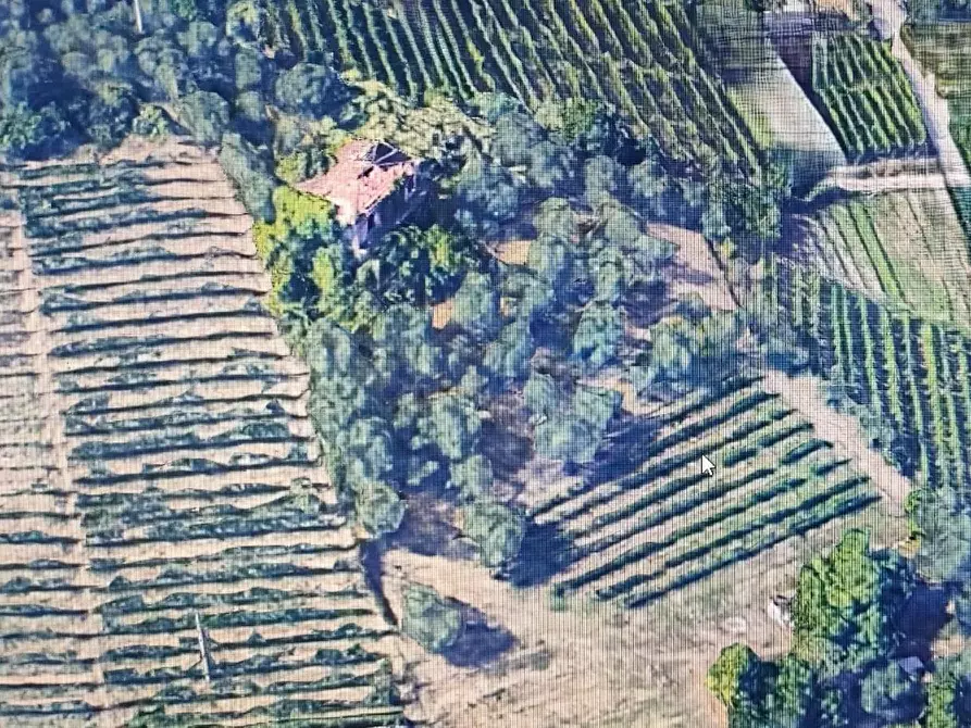Immagine 3 di Rustico / casale in vendita  a Massa