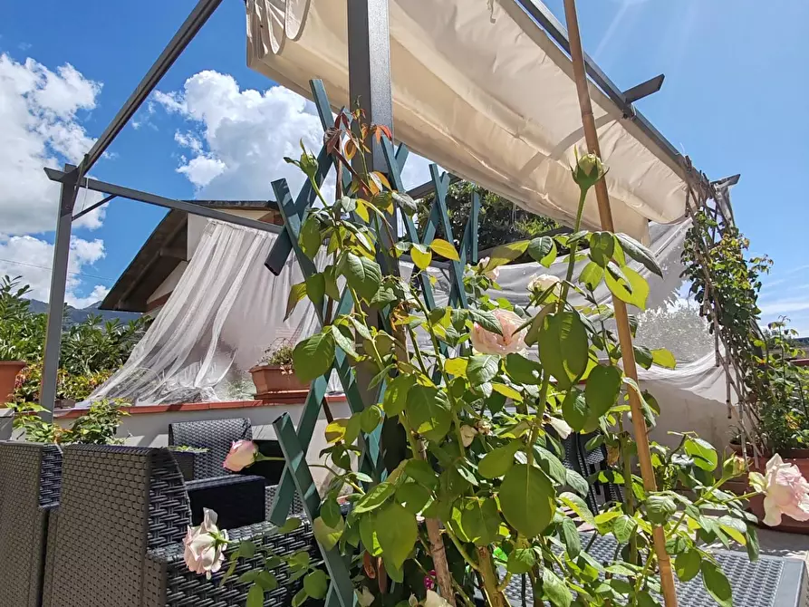 Immagine 26 di Appartamento in vendita  a Massa