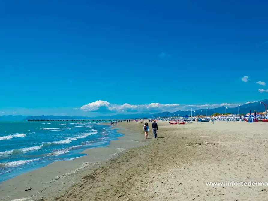 Immagine 17 di Villa in vendita  a Forte Dei Marmi