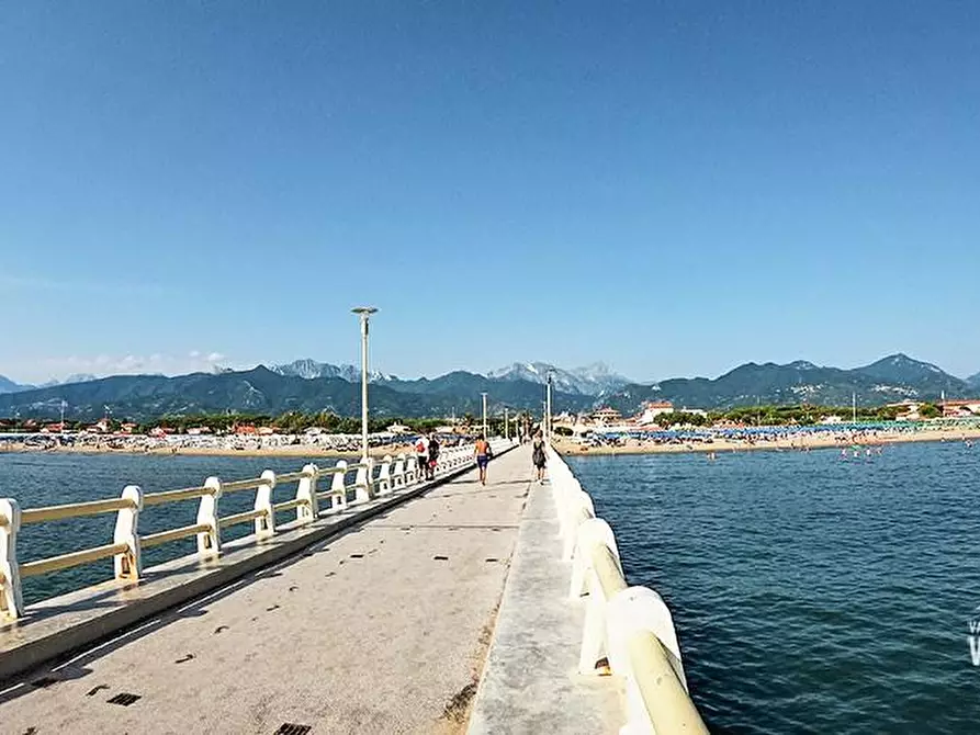 Immagine 16 di Villa in vendita  a Forte Dei Marmi