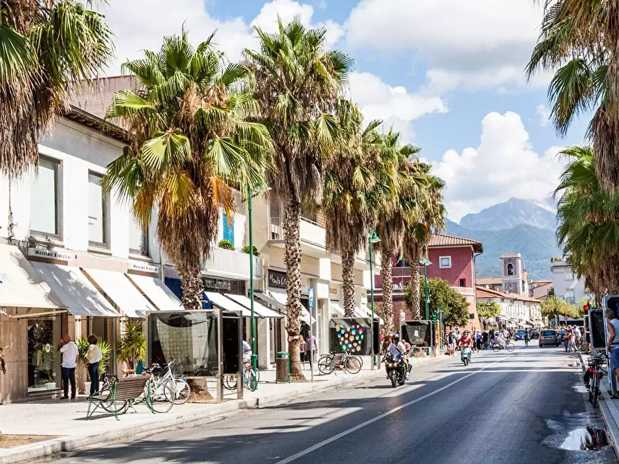 Immagine 15 di Villa in vendita  a Forte Dei Marmi
