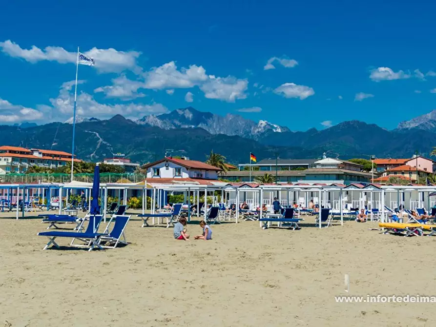 Immagine 18 di Villa in vendita  a Forte Dei Marmi
