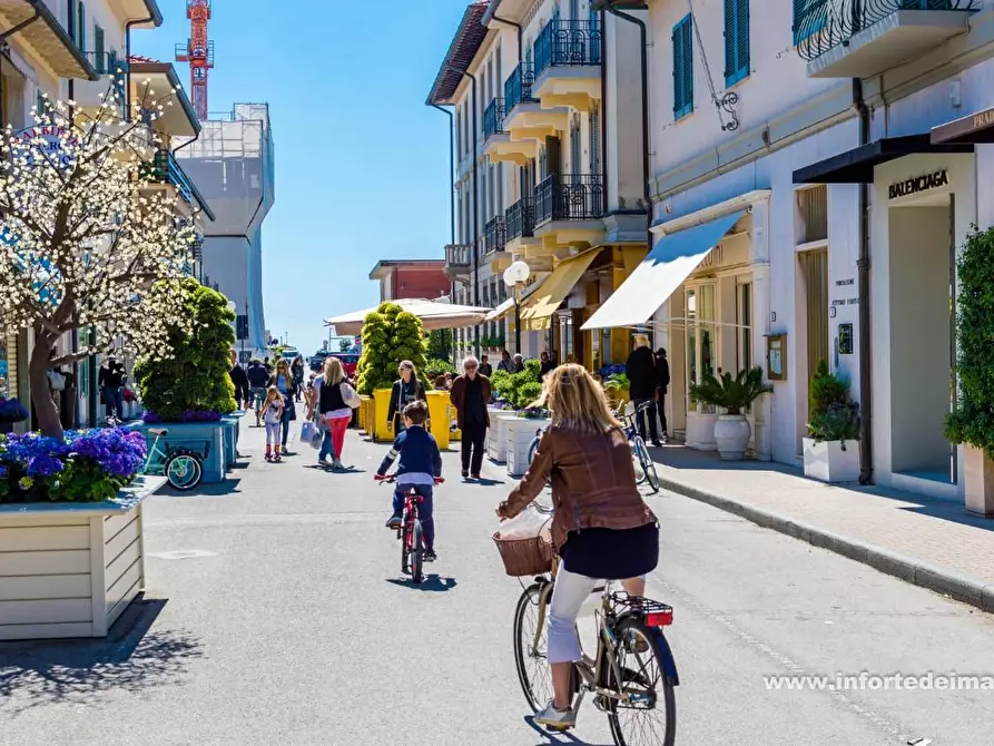 Immagine 20 di Villa in vendita  a Forte Dei Marmi