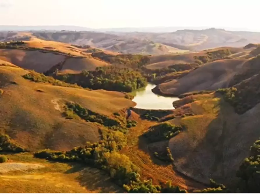 Immagine 8 di Casa colonica in vendita  a Asciano